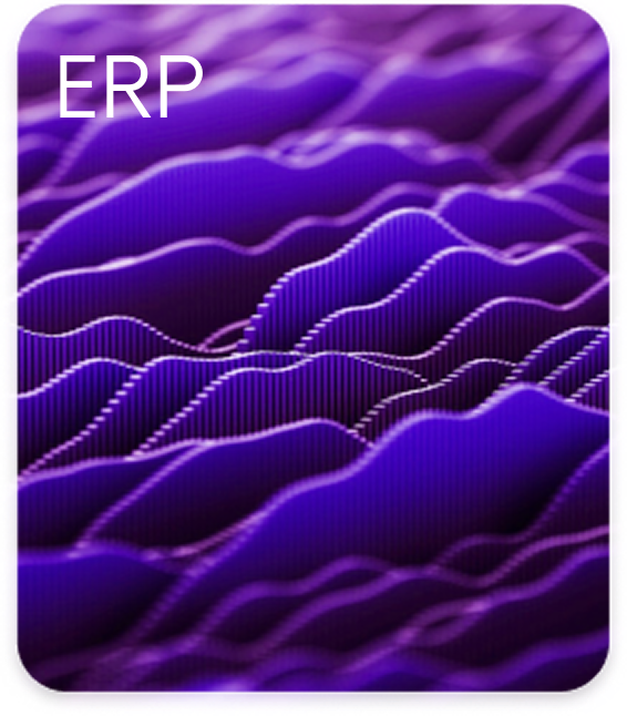 erp